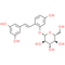 Oxyresveratrol 2-O-β-D-glucopyranoside