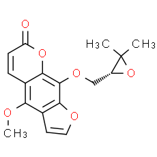 Byakangelicol