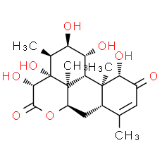 14, 15 β-Dihydroxyklaineanone