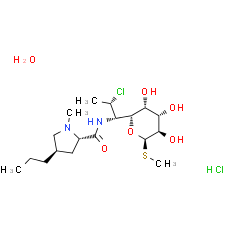 Clindamycin hydrochloride monohydrate