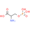 O-Phospho-L-serine