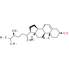 24(S)-Hydroxycholesterol