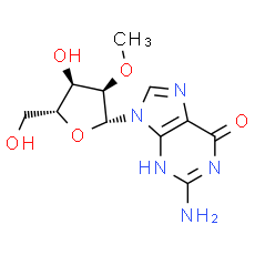 2'-O-Methylguanosine