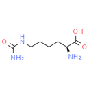 L-Homocitrulline