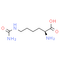 L-Homocitrulline