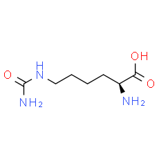 L-Homocitrulline