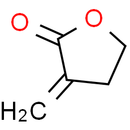 Tulipalin A - CAS