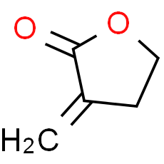 Tulipalin A - CAS