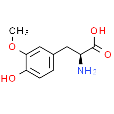 3-O-Methyldopa