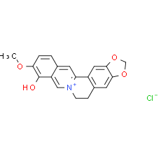 Berberrubine chloride