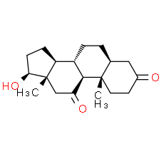 11-Ketodihydrotestosterone