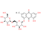 Emodin-1-O-β-gentiobioside
