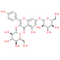 Kaempferol-3, 7-di-O-β-glucoside