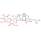 Gypenoside L