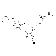 BI 703704