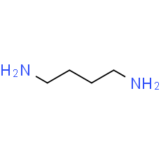 1, 4-Butanediamine