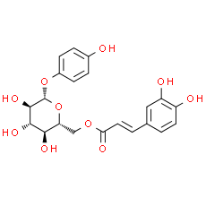 6-O-Caffeoylarbutin