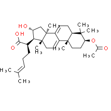 3-O-Acetyl-16α-hydroxydehydrotrametenolic acid