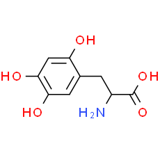 6-Hydroxy-DOPA