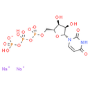 Uridine triphosphate 13C9, 15N2 sodium - CAS