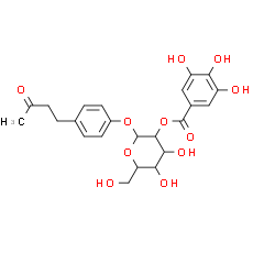 Isolindleyin - CAS