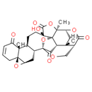 Physalin F - CAS