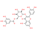 Quercetin 3-O-(6''-O-galloyl)-β-D-glucoside