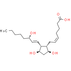 8-Isoprostaglandin F2α - CAS