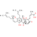 Epigambogic acid - CAS
