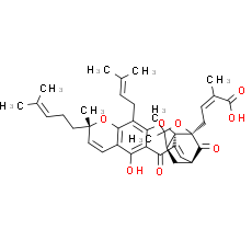 Epigambogic acid - CAS