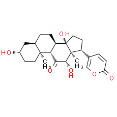 Bufarenogin