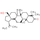 3-Oxobetulin - CAS