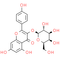 Kaempferol 3-O-β-D-galactopyranoside