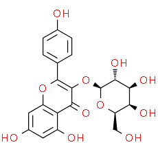 Kaempferol 3-O-β-D-galactopyranoside