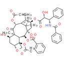 7-epi-Taxol - CAS