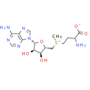 S-Adenosyl-DL-methionine - CAS
