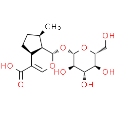 8-Epideoxyloganic acid