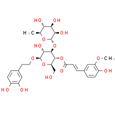 Leucosceptoside A - CAS