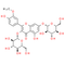 Isorhamnetin 3, 7-di-O-β-D-glucopyranoside - CAS# 6758-51-6