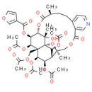 Wilfordinine D - CAS