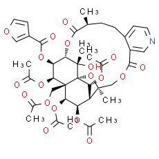 Wilfordinine D - CAS