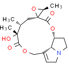Jacobine