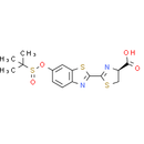 SEluc-2 - CAS
