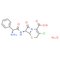 Cefaclor monohydrate