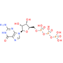 Guanosine triphosphate