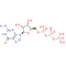 Guanosine triphosphate