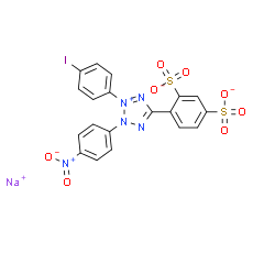 WST-1 - CAS