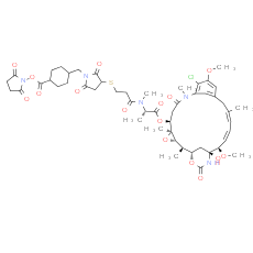 DM1-SMCC - CAS
