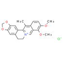 13-Methylberberine chloride