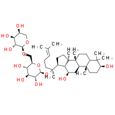 Ginsenoside C-Y - CAS